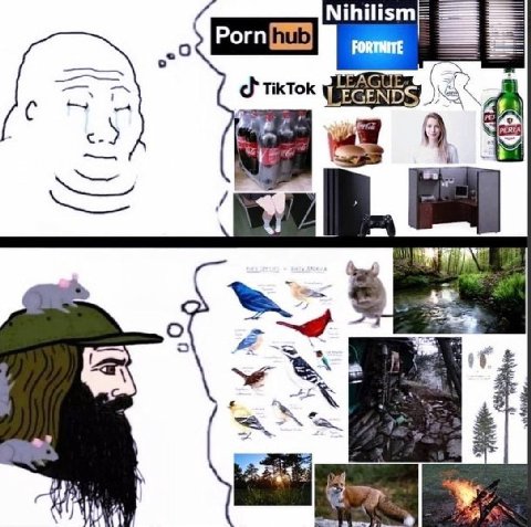Рогп Nihilism 9 TikTok ЧЕ