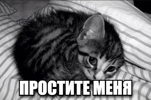 СТИТЕ МЕНЯ: