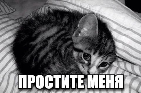 СТИТЕ МЕНЯ: