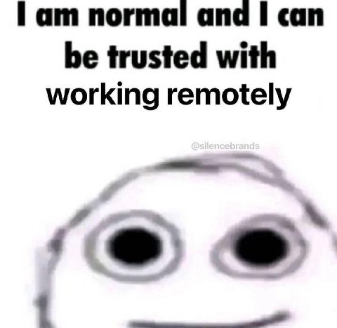 normal and can be trusted with working remotely 4