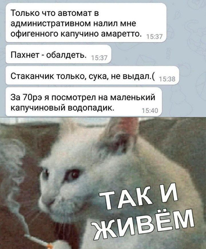 Только что автомат в административном налил мне офигенного капучино амаретто. Пахнет обалдеть. Стаканчик только, сука, не выдал.( За я посмотрел на маленький капучиновый водопадик. 10 ТАК И