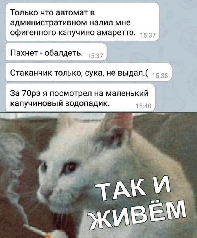 Только что автомат в административном налил мне офигенного капучино амаретто. Пахнет обалдеть. Стаканчик только, сука, не выдал.( За я посмотрел на маленький капучиновый водопадик. 10 ТАК И
