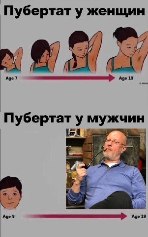 Пубертат у женщин Аде 19 Пубертат у мужчин Age 9 Age 19