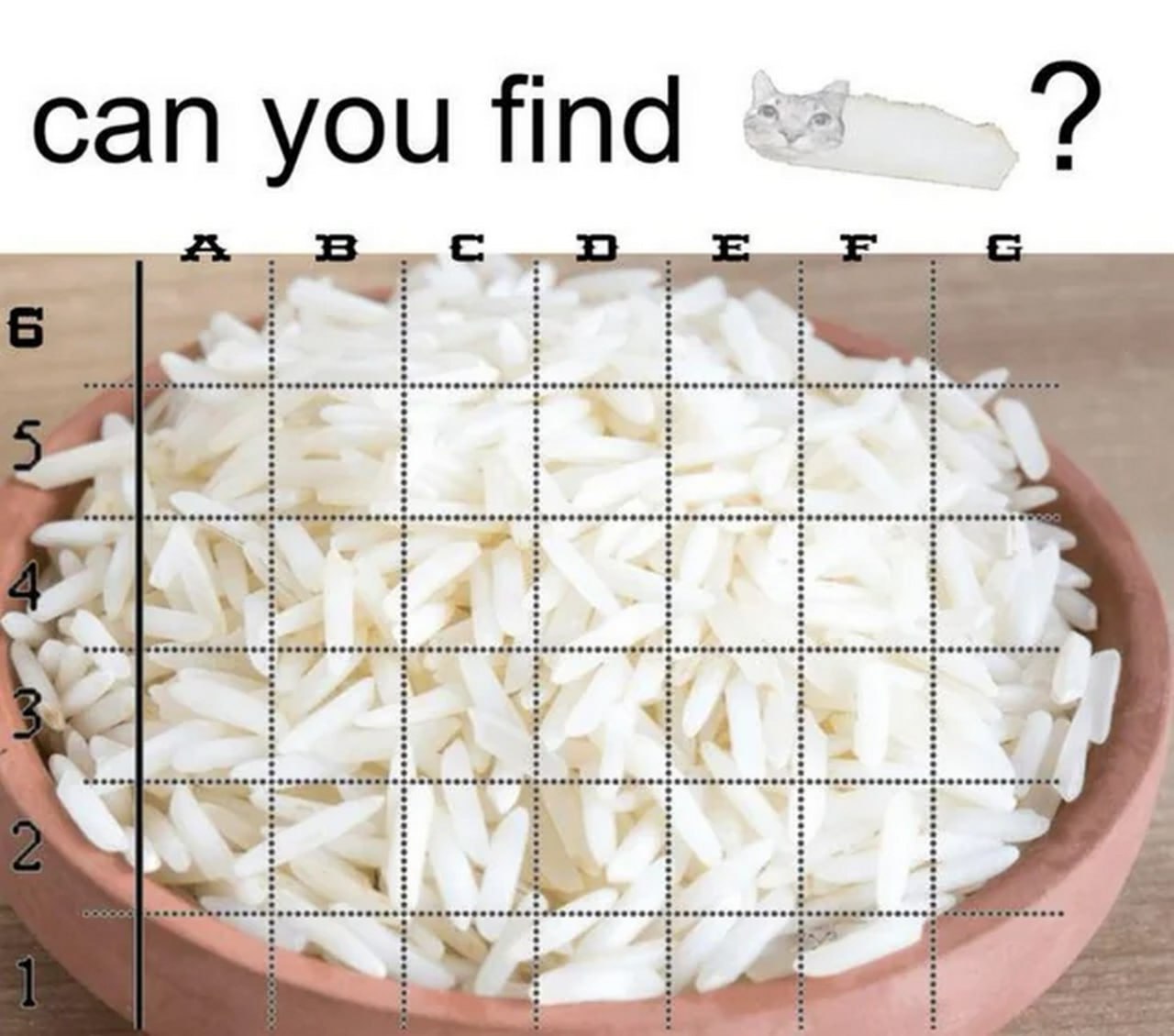 can you find 25. 38 i ‘4 4 4