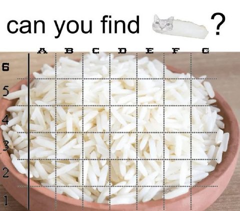 can you find 25. 38 i ‘4 4 4