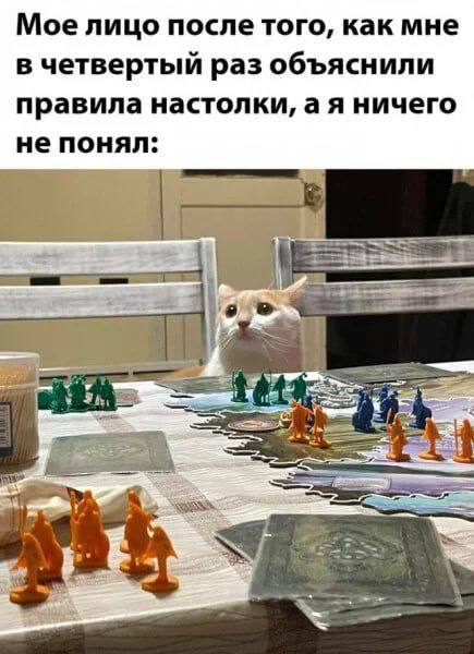 Мое лицо после того, как мне в четвертый раз объяснили правила настолки, а я ничего не понял: ate 4 if ASS и