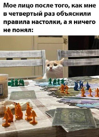 Мое лицо после того, как мне в четвертый раз объяснили правила настолки, а я ничего не понял: ate 4 if ASS и