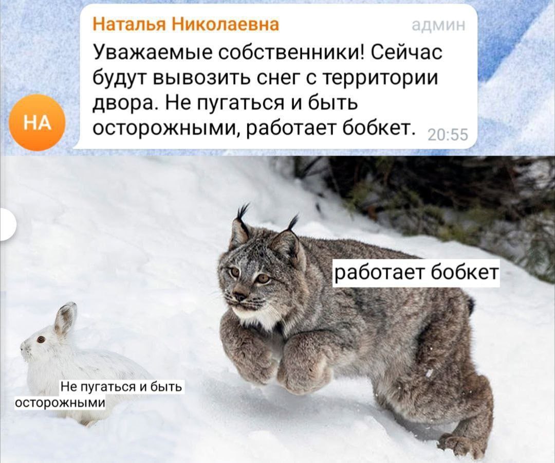 Наталья Николаевна у Уважаемые собственники! Сейчас будут вывозить снег с территории двора. Не пугаться и быть осторожными, работает бобкет. работает бобкет 4 Не пугаться и быть осторожными