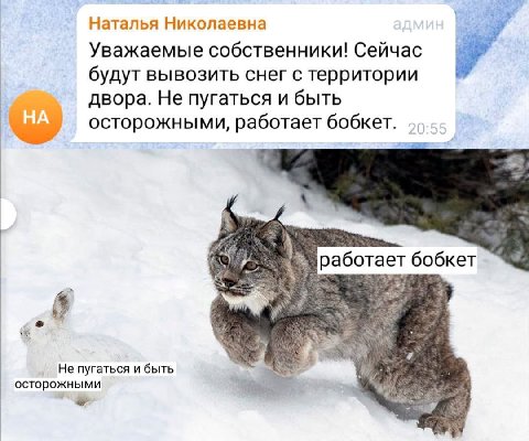 Наталья Николаевна у Уважаемые собственники! Сейчас будут вывозить снег с территории двора. Не пугаться и быть осторожными, работает бобкет. работает бобкет 4 Не пугаться и быть осторожными