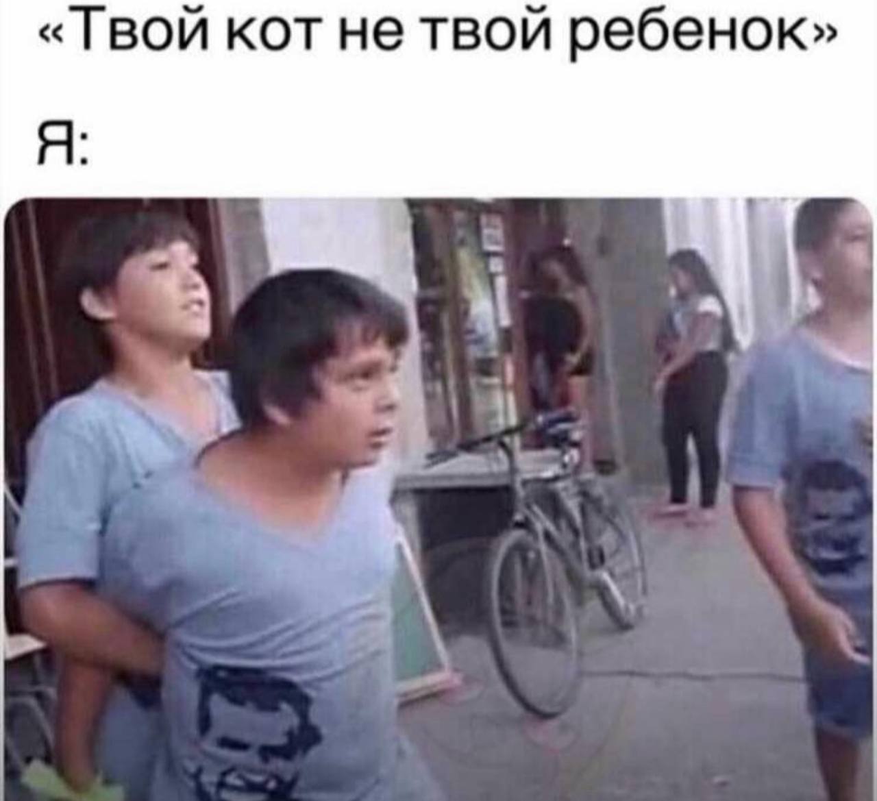 «Твой кот не твой ребенок»