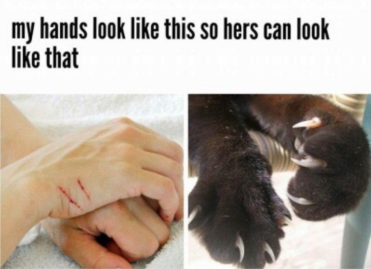 my hands look like this so hers can look like that