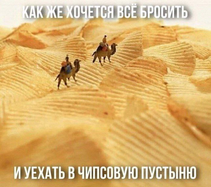 ВСЕ БРОСИТЬ: ИУЕХАТЬ В ЧИПСОВУЮ ПУСТЫНЮ