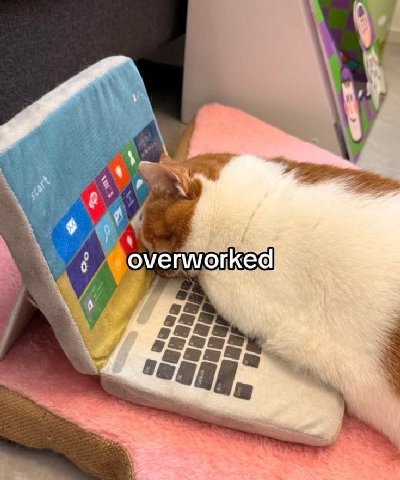 4 overworked 89 29 29 4 4, А