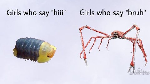 Girls who say who say "bruh" Vis