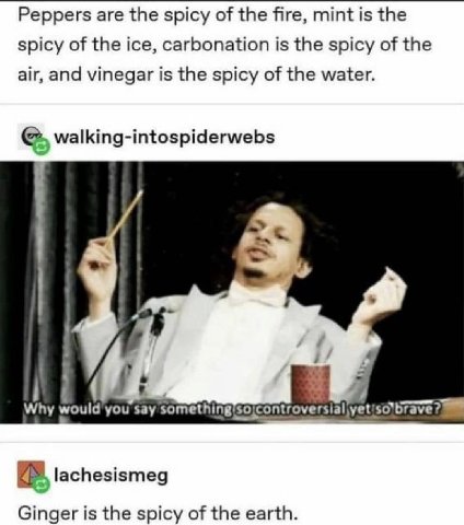 Peppers are the spicy of the fire, mint is the spicy of the ice, carbonation is the spicy of the air, and vinegar is the spicy of the water. walking-intospiderwebs Why say something brave? lachesismeg