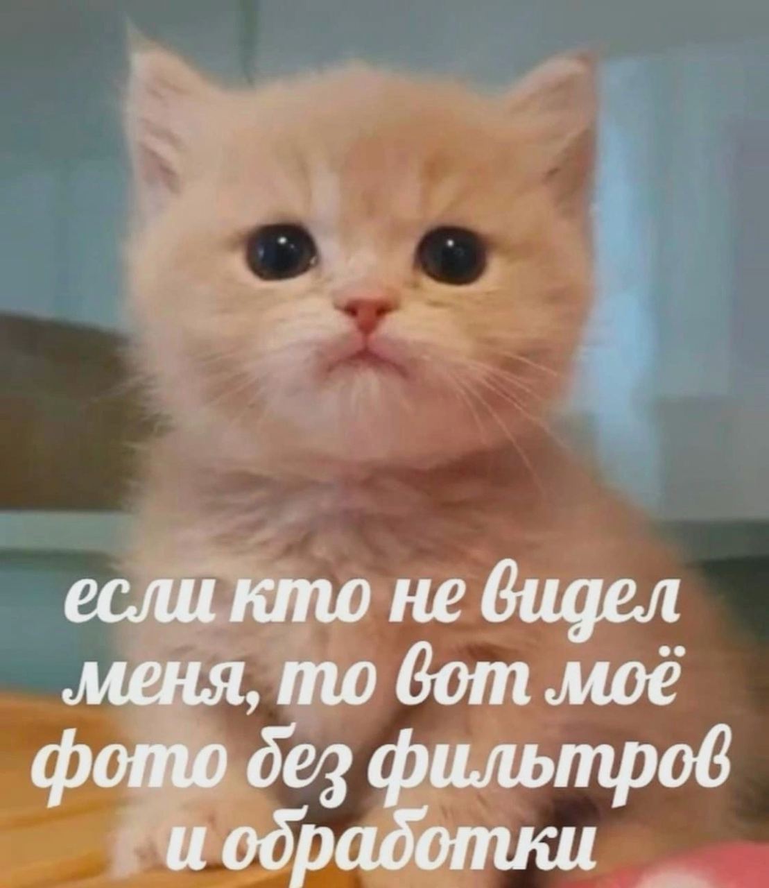 если кто не видел меня, то вот моё фото дез фильтров И отли