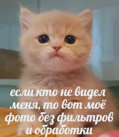 если кто не видел меня, то вот моё фото дез фильтров И отли