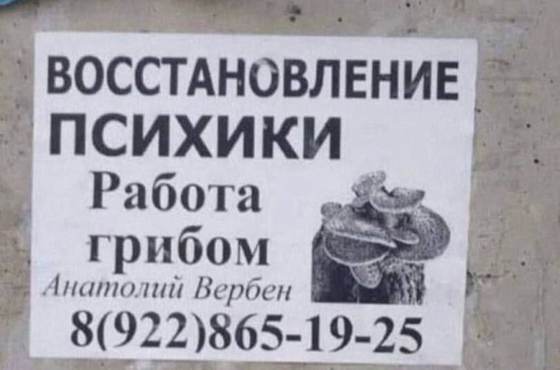 ВОССТАНОВЛЕНИЕ ПСИХИКИ. Работа грибом Вербен 8( 922)865-19-25