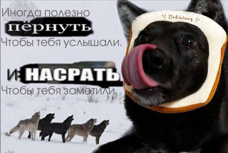 Иногда полезно Чтобы тебя услышали. 7 4 НАСРАТЬ Чтобы тебя заметили, ГУУ
