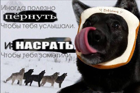 Иногда полезно Чтобы тебя услышали. 7 4 НАСРАТЬ Чтобы тебя заметили, ГУУ