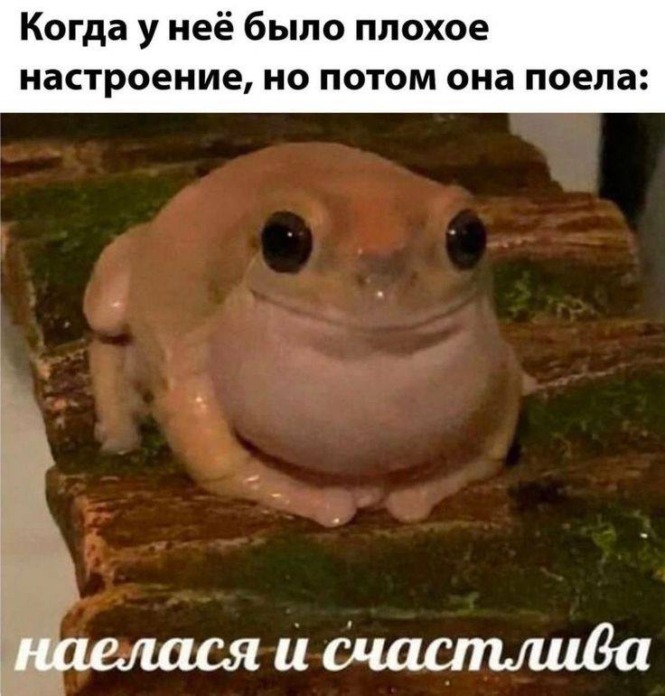 неё было плохое настроение, но потом она поела: наелася и счастлива