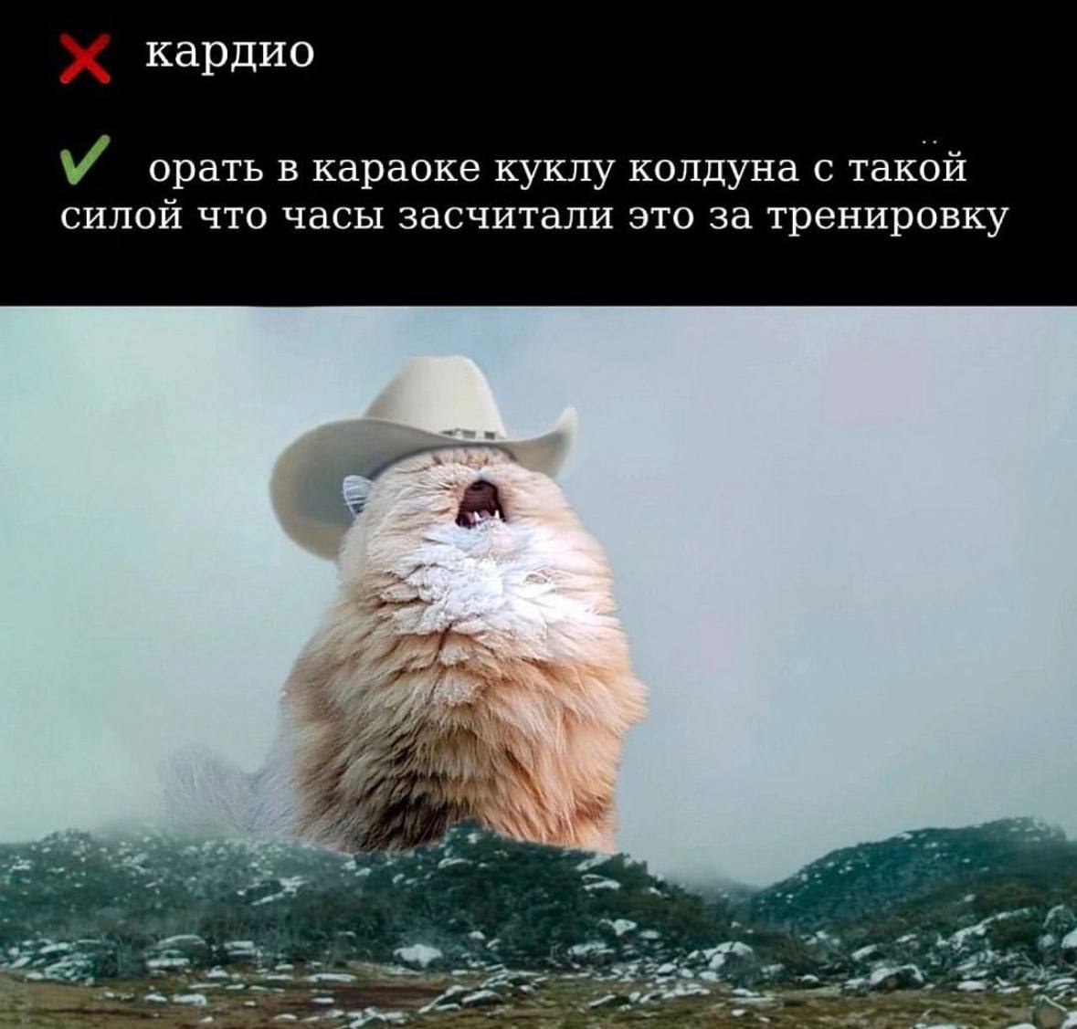 кардио орать в караоке куклу колдуна с такой силой что часы засчитали это за тренировку А.