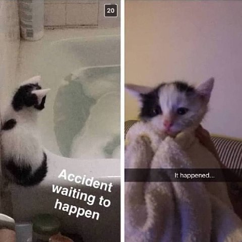 It happened... to а Рреп