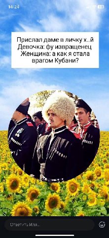 Прислал даме в личку Девочка: извращенец Женщина: а какя стала врагом Кубани? с 3 к oases i> Ответить Una...