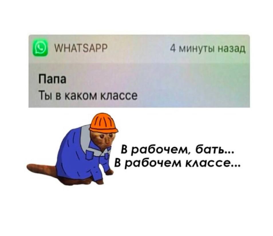 WHATSAPP 4 минуты назад Папа Ты в каком классе В рабочем, бать... В рабочем классе...