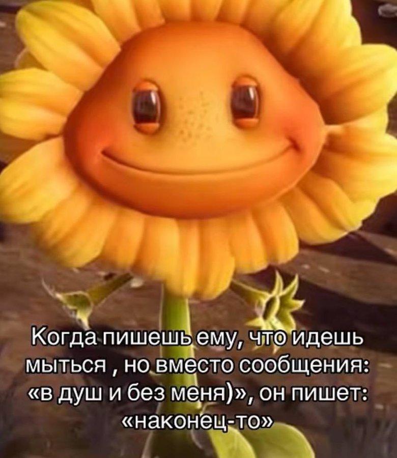 я у Когда пишеш bemy, что идешь мыться но вместо сообщения «В душ и без меня)», он пишет «наконец