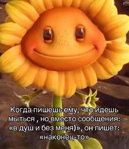 я у Когда пишеш bemy, что идешь мыться но вместо сообщения «В душ и без меня)», он пишет «наконец