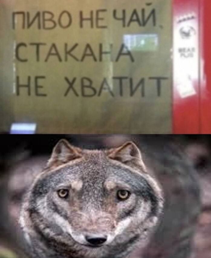 СТАКАНА ADS