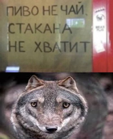 СТАКАНА ADS