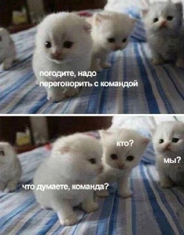 погодите, надо переговорить с командой кто? мы? что думаете, команда?
