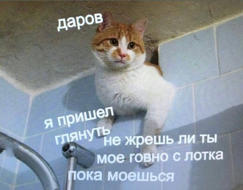 даров я жрешь ли ты мое говно с лотка пока моешься