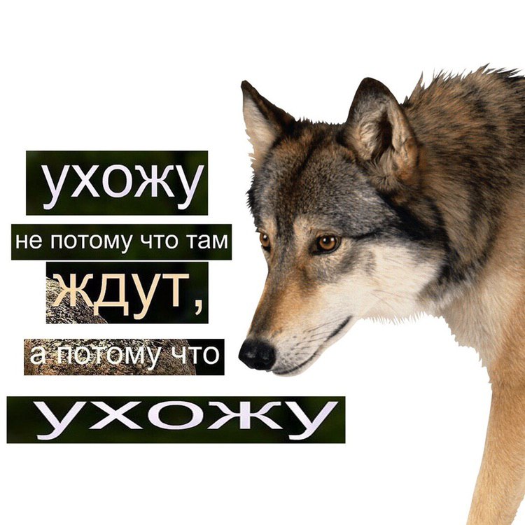 ухожу OMY: 4TO PRY