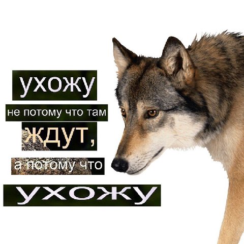 ухожу OMY: 4TO PRY