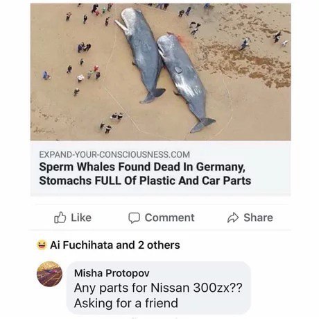 EXPAND-YOUR-CONSCIOUSNESS.COM Sperm Whales Found Dead In Germany, Stomachs FULL Of Plastic And Car Parts Like Comment Share Fuchihata and 2 others Misha Protopov Any parts for Nissan Asking for a frie