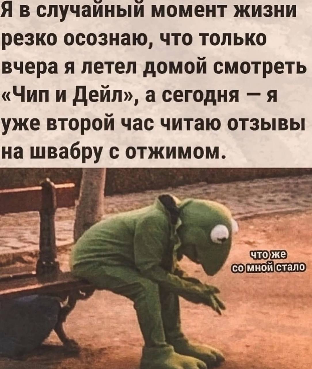 Я в случаиный момент жизни резко осознаю, что только вчера я летел домой смотреть Дейл», а сегодня я уже второй час читаю отзывы на швабру С ОТЖИМОМ. тоже]