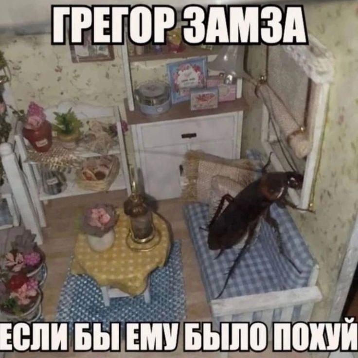 ГРЕГОР ЗАМЗА ЕСЛИ БЫ ЕМУ БЫЛО ПОХУЙ