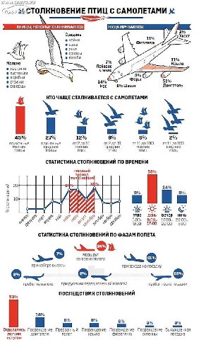 ПТИЦ С САМОЛЕТАМИ ПТИЦЫ КОТОРЫЕ СТАЛНИВАЮТСЯ НУДА ВРЕЗАЮТСЯ Средние Фюзеляж соколы 5, голуби 11% Мелкие 7% Крыло Лобовое ласточки стекло пустельги воробьи 14% 51% Hoc 1% Шасси Двигатель КТО ЧАЩЕ С САМ
