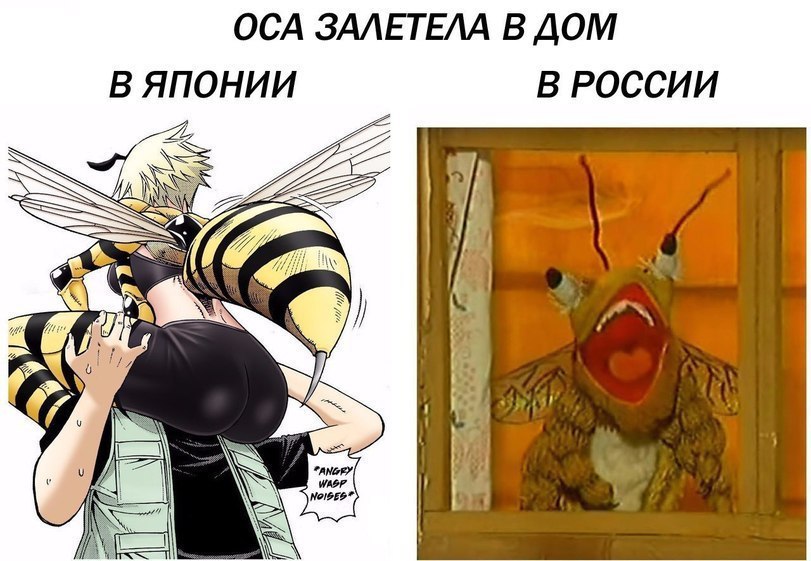 ОСА ЗАЛЕТЕЛА В ДОМ В ЯПОНИИ В РОССИИ