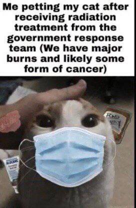 Me petting my cat after receiving radiation treatment from the government response team (We have major burns and likely some form of cancer)