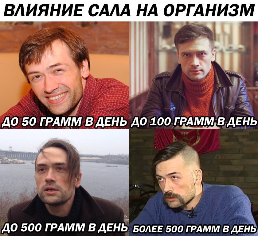 ВЛИЯНИЕ САЛА НА ОРГАНИЗМ 9. ДО 50 ГРАММ В ДЕНЬ ДО 100 ГРАММ, В ДЕНЬ ДО 500 ГРАММ В ДЕНЬ БОЛЕЕ 500 ГРАММ В ДЕНЬ