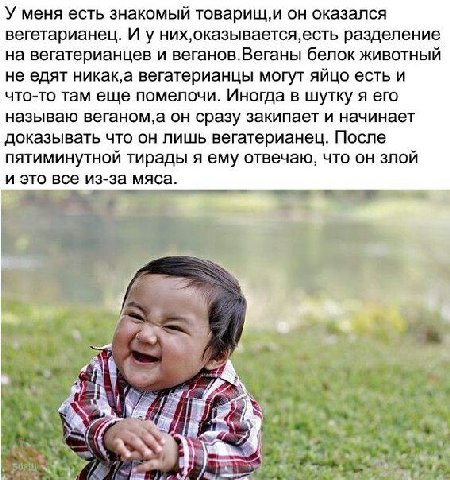 У меня есть знакомый товарищ,и он оказался вегетарианец. И у разделение на вегатерианцев и веганов.Веганы белок животный не едят никак‚а вегатерианцы могут яйцо есть и что-то там еще помелочи. Иногда 
