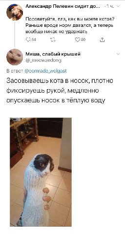 Александр Пелевин сидит до... Посоветуйте, плз, как вы моете котов? Раньше вроде норм давался, а теперь вообще никак не удержать 80 Миша, слабый крышей @_meowzedong В ответ @comrade_wolgast Засовываеш
