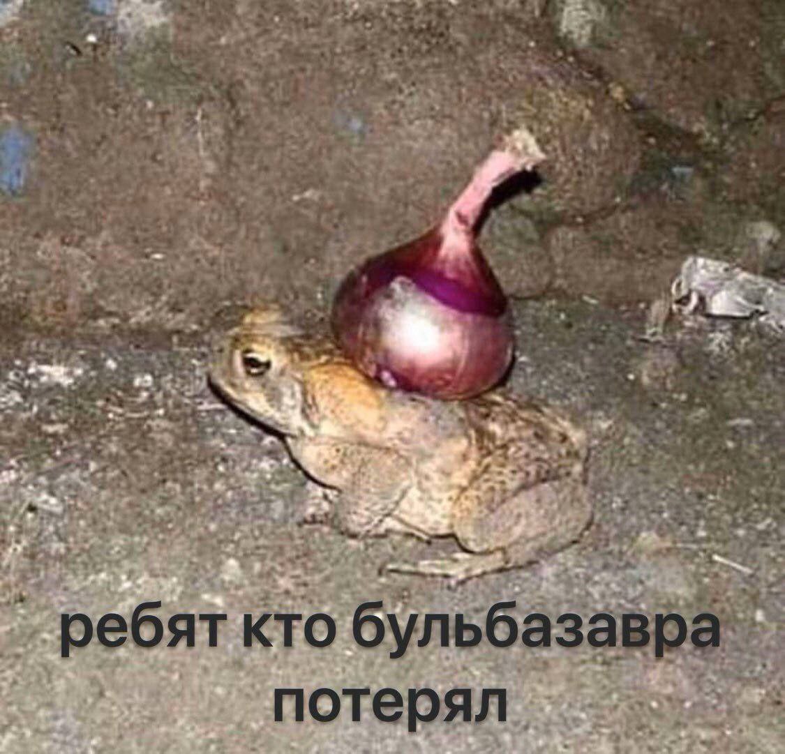 a у 4 я Я у 3 4A, ребят кто потеряя и +4