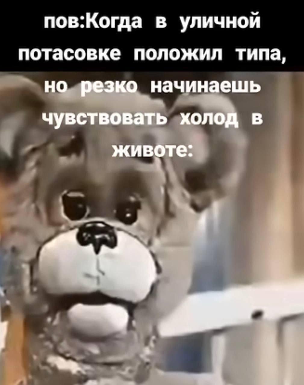 пов:Когда в уличной потасовке положил типа, но резко начинаешь чувствовать холод в животе: