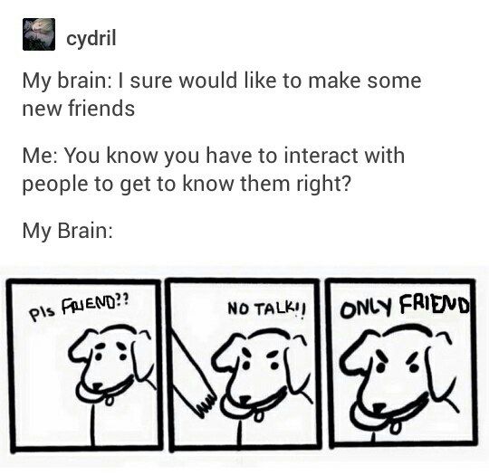 cydril My brain: sure would like to make some new friends Me: You know you have to interact with people to get to know them right? My Brain: