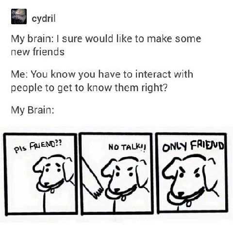 cydril My brain: sure would like to make some new friends Me: You know you have to interact with people to get to know them right? My Brain:
